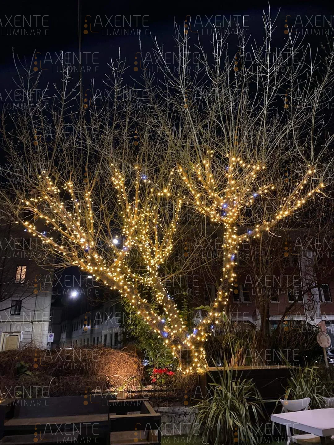 Illuminazione alberi con stringhe LED - Foto 3