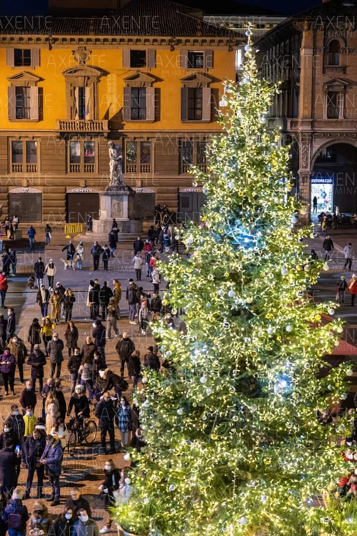 Illuminazione alberi con stringhe LED - Foto 5