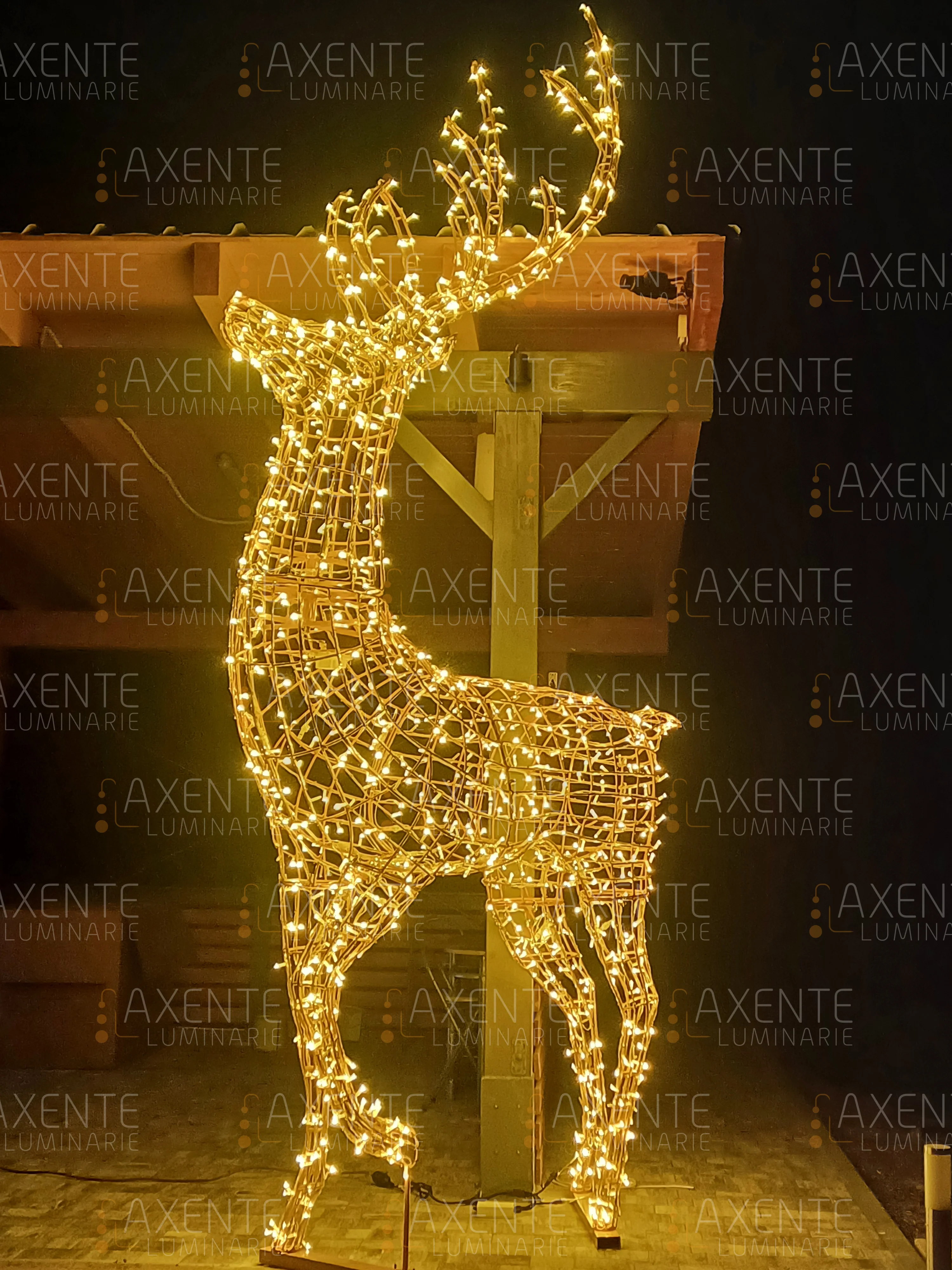 Renna patronus - Foto 2
